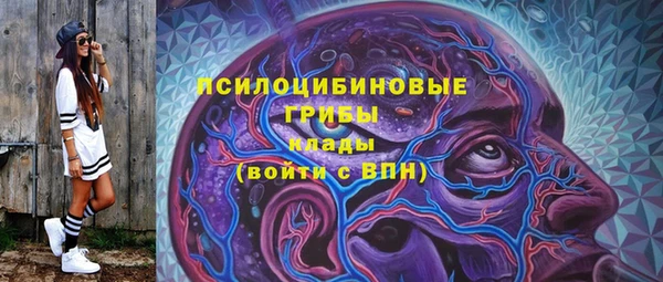 mdpv Новодвинск