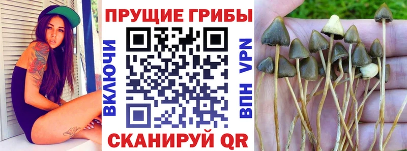 Галлюциногенные грибы GOLDEN TEACHER  Ардон 